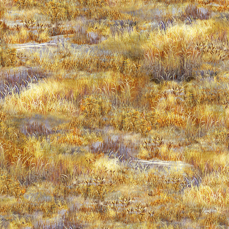 DEER MEADOW              